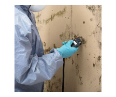 Houston Mold Inspections in Houston, TX