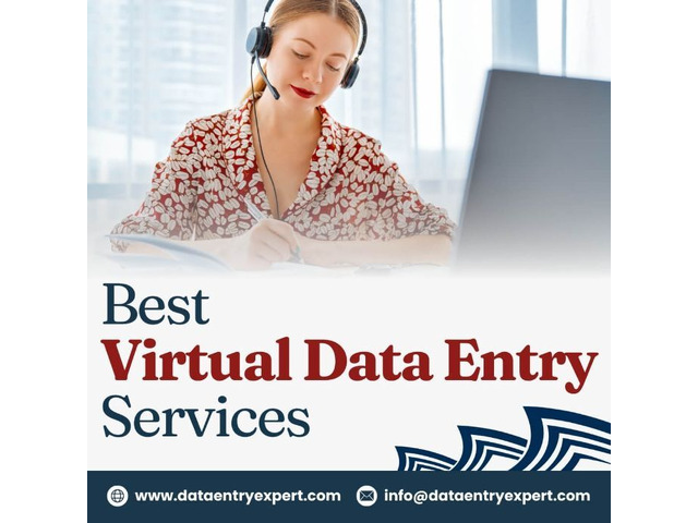 Best Virtual Assistant Data Entry Services in India