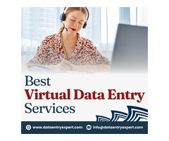 Best Virtual Assistant Data Entry Services in India