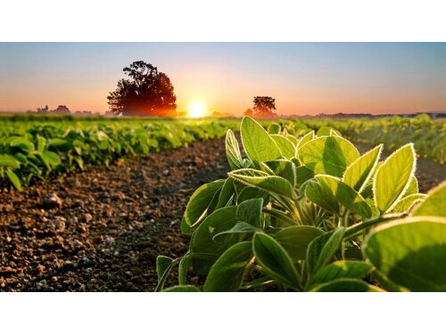 Organic Fertilizer Distributors