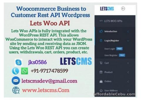 Business to Customer Rest API for WordPress | B2C Rest API Plugin
