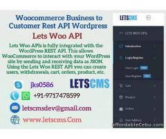 Business to Customer Rest API for WordPress | B2C Rest API Plugin