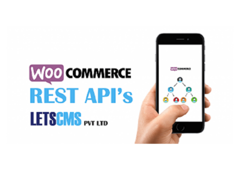 Binary MLM WooCommerce, API |  BMW WordPress Rest API FrontEnd