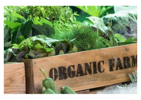 Organic Products Wholesale Distributors - Herbica Naturals