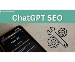 Enterprise SEO Services In India