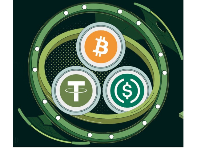 Experience Flash USDT