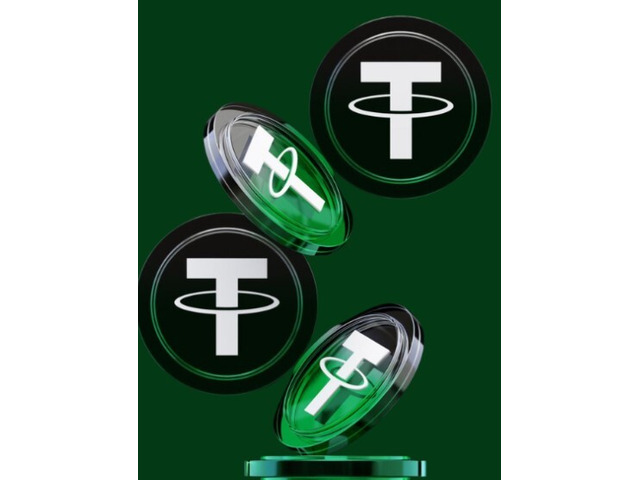 Discover Rapid Flash USDT