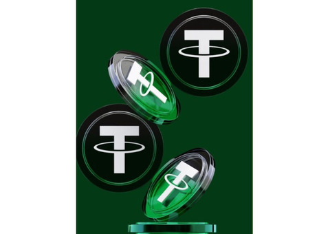 Discover Rapid Flash USDT