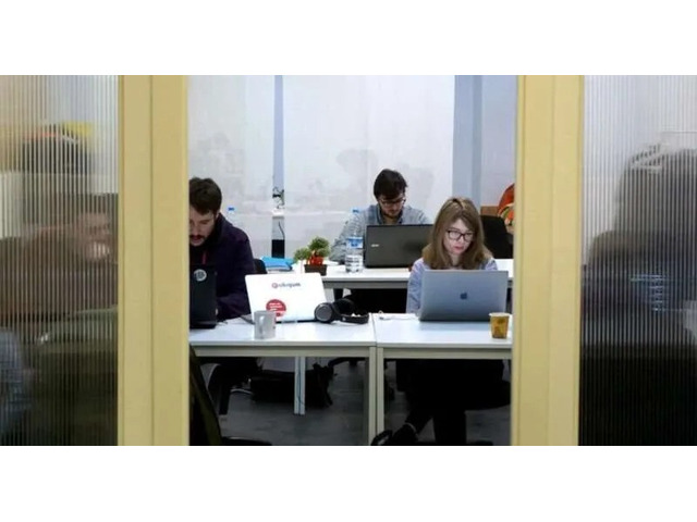 curso de programacion online