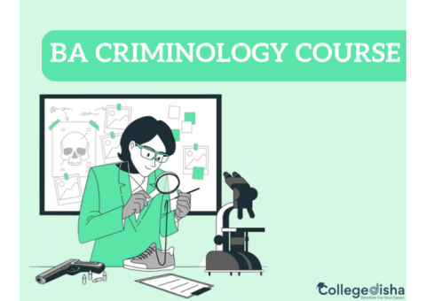 BA Criminology Course