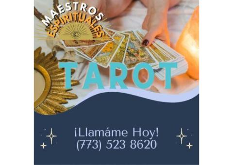 Los Mejores Resultados Para Ti | Lectura del Tarot Chicago