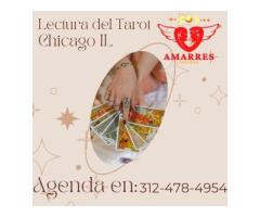 La Mejor Lectura Del Tarot En Chicago | Asesoría las 24 horas