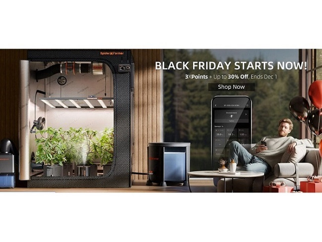 Your Indoor Garden's Ultimate Black Friday Harvest