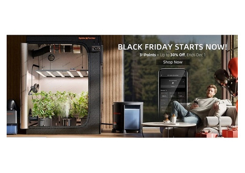 Your Indoor Garden's Ultimate Black Friday Harvest