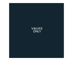 VALVES ONLY