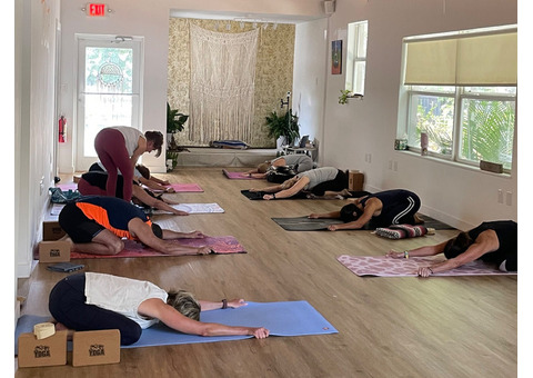 Top Rated Beginner Yoga Classes Near me in Miami