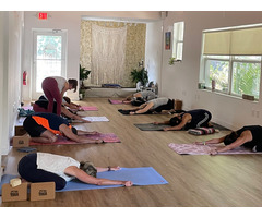Top Rated Beginner Yoga Classes Near me in Miami
