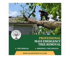 Professional Maui Emergency Tree Removal - Island Tree Style