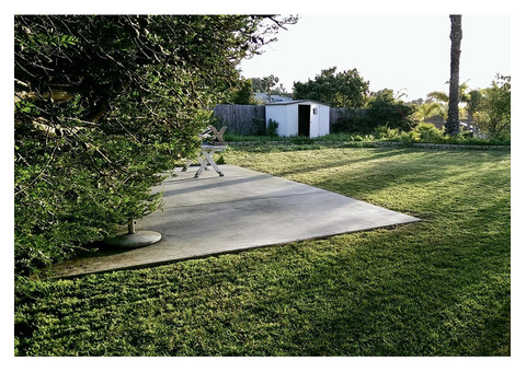 San Diego Yard Cleanup