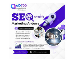 Servicios de Marketing Andorra: SEO, Publicidad y Redes Sociales