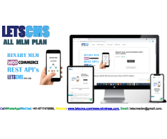 Binary MLM Rest API | Binary MLM WooCommerce Rest API'S Addon