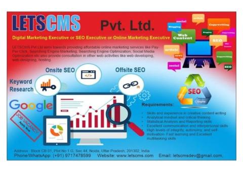 SEO Executive (Freshers and Experienced)  jobs in Noida