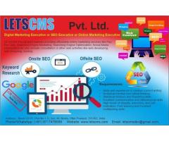 SEO Executive (Freshers and Experienced)  jobs in Noida