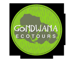 Patagonia tours