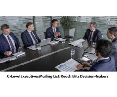 Accurate C-Level Executives Email List- Get your Free Sample Today!