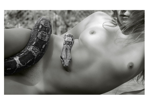 Exploring Emotion Beauty with Sensual Art