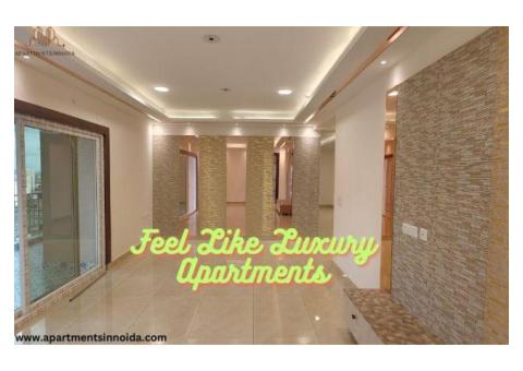 Buying apartments in Noida is the best decision.