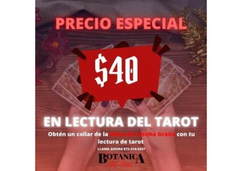 Lectura de barajas en Chicago IL | Real y garantizada
