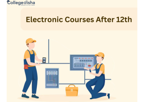Electronic Courses After 12th