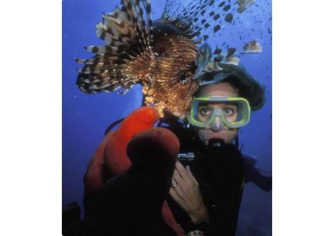 PADI courses Tulum