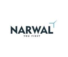 Automation Consulting Services - Narwal