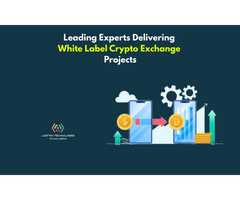 Leading Experts Delivering White Label Crypto Exchange Projects