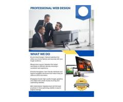 Professional Web Design Services |