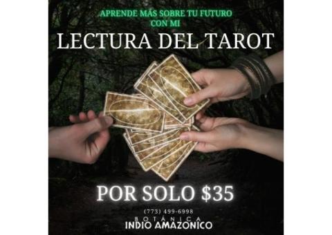 Lectura del Tarot Chicago | La Mejor Botánica En La Ciudad