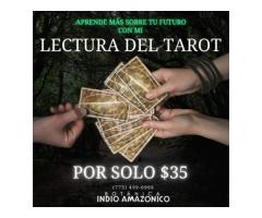 Lectura del Tarot Chicago | La Mejor Botánica En La Ciudad