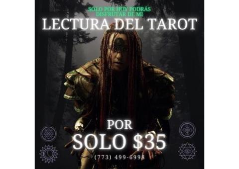 Lectura del tarot en Chicago - Consulta hoy mismo