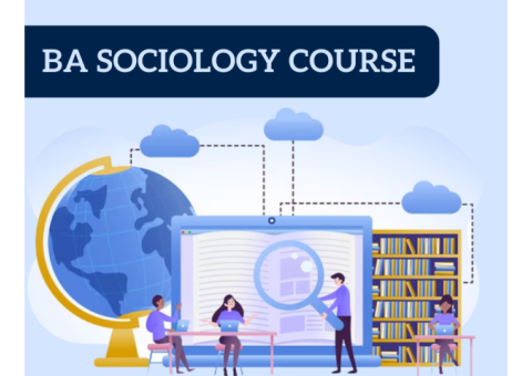 BA Sociology Course