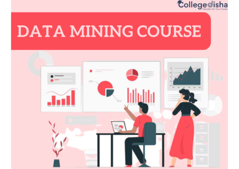 Data mining course