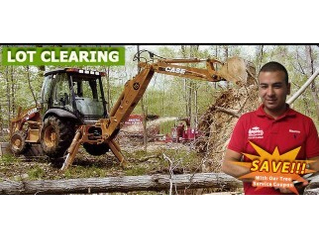 Lot Clearing NJ – Amazing Tree Services