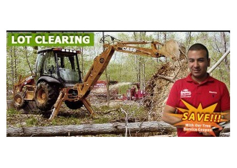 Lot Clearing NJ – Amazing Tree Services