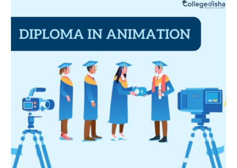 Diploma in Animation