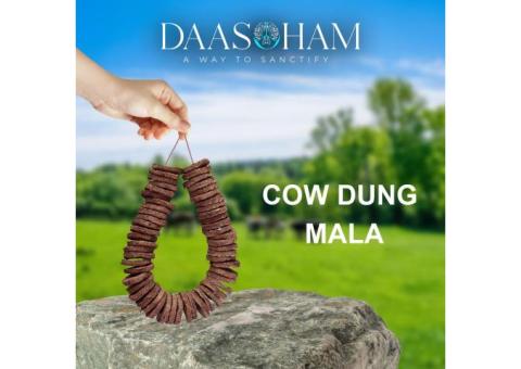 Cow Dung Cake Near Me