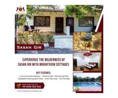 Best Resorts in Sasan Gir - Bright View Cottage