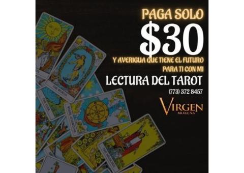 Lectura del Tarot Chicago | 100% real y efectiva