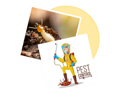 Sorna Valli Pest Control