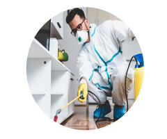 Cassini Pest Control